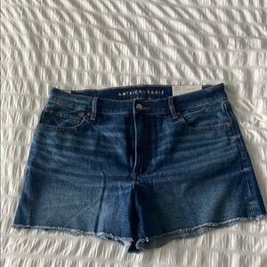 American Eagle Outfitters Blue Jean Shorts Distressed Cut-Off